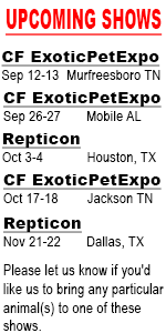 Show Schedule (image for) Show Schedule